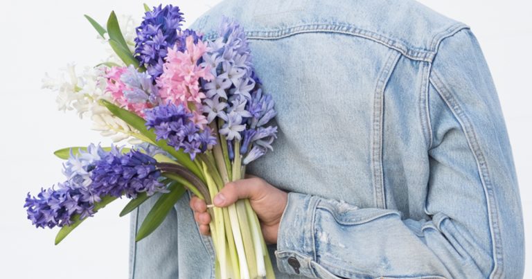 The Best Flowers for Apologies In 2023