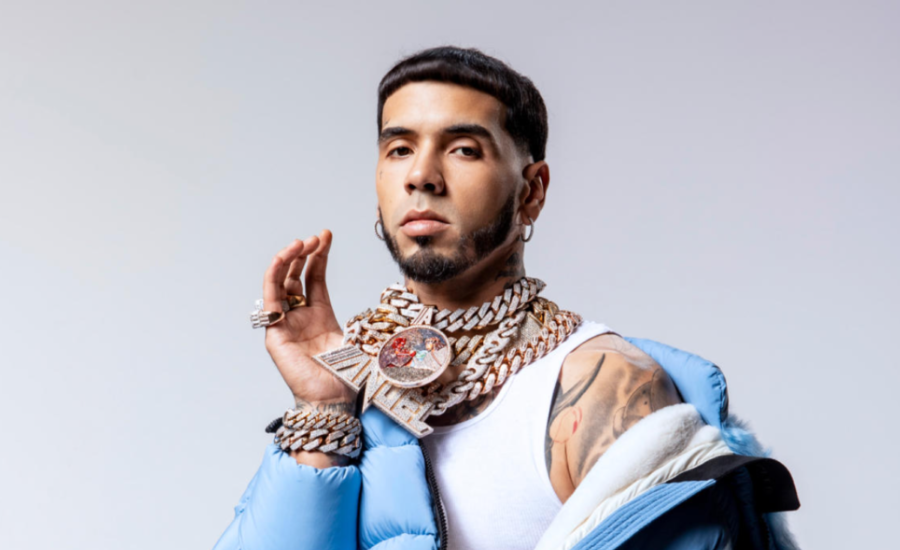 anuel net worth