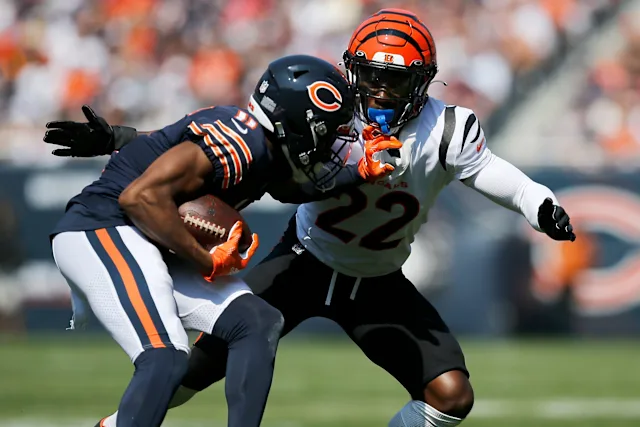 chicago bears vs bengals match player stats